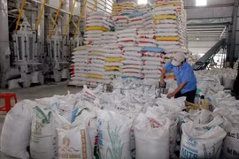 Vietnam’s rice exports dwindle 18.4 percent in seven months