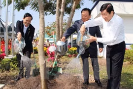 President launches Tree Planting Festival in Tuyen Quang