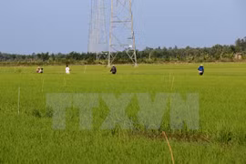 PM suggests hi-tech and organic farming for national agriculture 