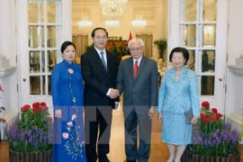 President affirms Vietnam’s wish to boost ties with Singapore