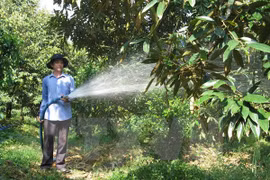 German experts help Tien Giang develop cooperatives