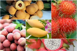 Fruit, vegetable export value up in H1