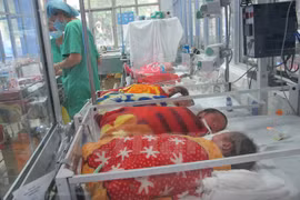 Vietnam responds to surrogacy demand