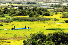 U Minh Thuong National Park preserves biodiversity