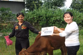 Tien Giang: Disadvantaged people supported to transform production 
