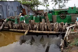 Environment sector declares 2016 aims