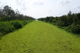 Values of Kien Giang Biosphere Reserve promoted 