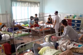 Prompt countermeasures needed to fight dengue fever 