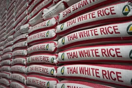 Thailand announces new loan schemes for rice farmers