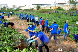 Nationwide activities to respond to World Environment Day