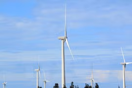 Renewable energy development needs support policy
