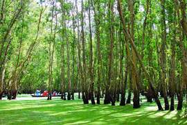 Mekong Delta holds beguiling charms