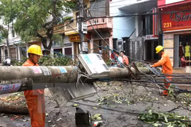 Northern provinces recover from tropical storm 