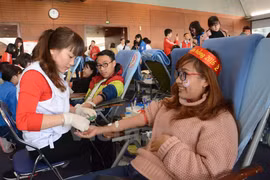 Khanh Hoa: 2,000 people join blood donation festival 
