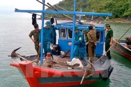 Quang Ngai promotes off-shore fishing