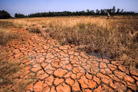 Vinh Long suggests Israel cooperate in climate change response