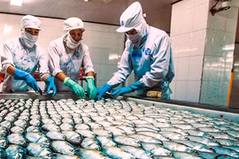  Vietnam’s seafood exports to benefit from TPP