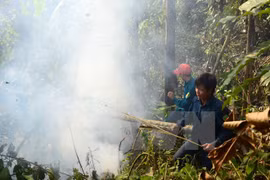  Localities hurt by widespread forest fires