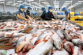 US approves two more Vietnamese catfish firms