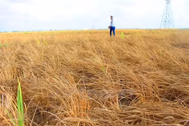 Youth help residents in drought-hit areas access drinking water