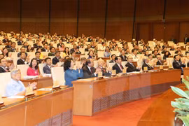 Heavy tasks wait for 14th National Assembly deputies 