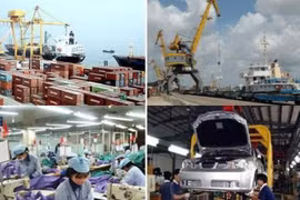 Vietnam, Cuba look for stronger investment cooperation 