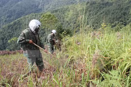 Quang Tri works hard to alleviate plight caused by UXOs