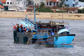 Vietnam works to protect citizens detained abroad 