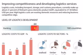 Vietnam develops logistics services
