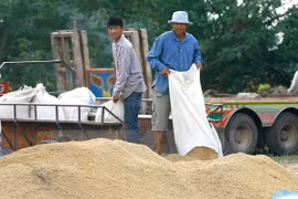 Thailand suspends rice auctions