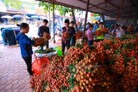 Agriculture sector aims to complete 1.2 percent growth target 