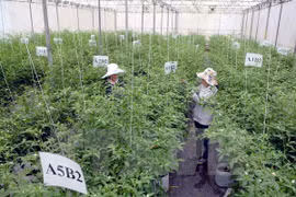 Vietnam calls for Japan’s investment in agriculture