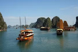Ha Long, Cat Ba cooperate to improve environment 