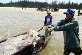 Committee to help victims of environmental incident in central region 
