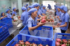 Vietnamese fruit exporters look for support 