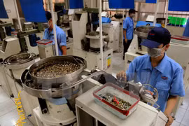 Bangladeshi officials study Ha Nam’s development experience 