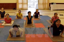 Da Nang programme responds to Int’l Yoga Day 