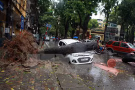PM orders ministries, localities to brace for typhoon Nida 