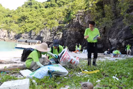 Maritime pollution rings alarm bells