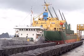 New products attract high export demand 