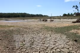 Workshop on climate change opens in Can Tho