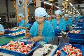Vietnam embraces opportunities from economic integration: experts