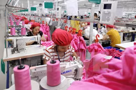 Mexico studies Vietnam’s garment-textiles