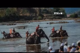Exhibition features beauty of Vietnam’s land and people