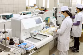 International health literacy conference held in Hai Phong