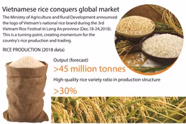 Vietnamese rice conquers global market