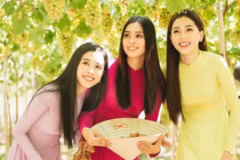 Top three Miss Vietnam 2018 join grape festival