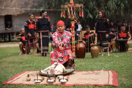 Vietnamese Ethnic Groups’ Culture Day