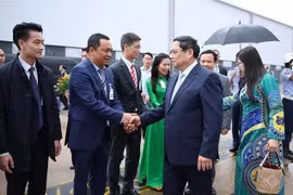 Staff of the Vietnamese Embassy in Brazil welcome Prime Minister Pham Minh Chinh and his spouse in Rio de Janeiro. (Photo: VNA)