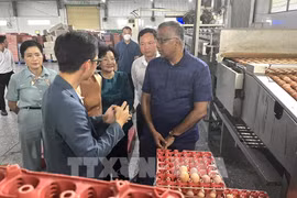 The Singaporean working delegation visits Ba Huan high-tech poultry farm in the Mekong Delta province of Long An. (Photo: VNA)